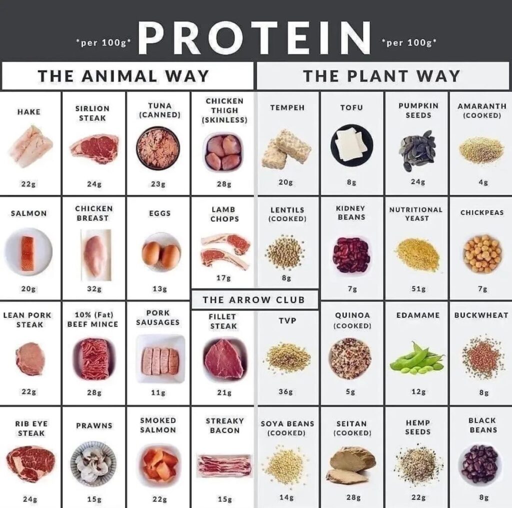 Why Eating Enough Protein is Vital to Powerup Perimenopause ...